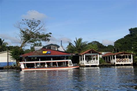 Visiting Tortuguero Rainforest in Costa Rica