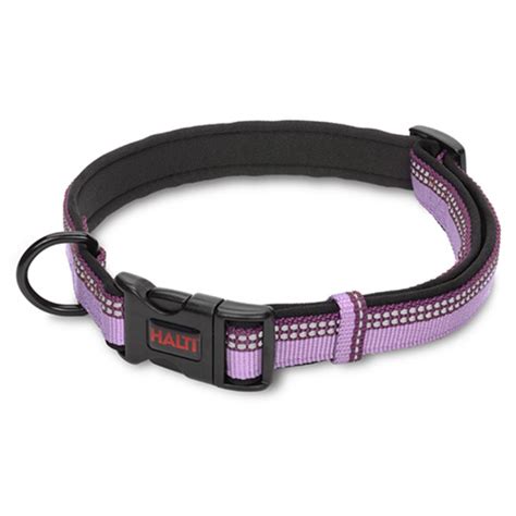 Halti Two-Toned Dog Collar - Purple | BaxterBoo