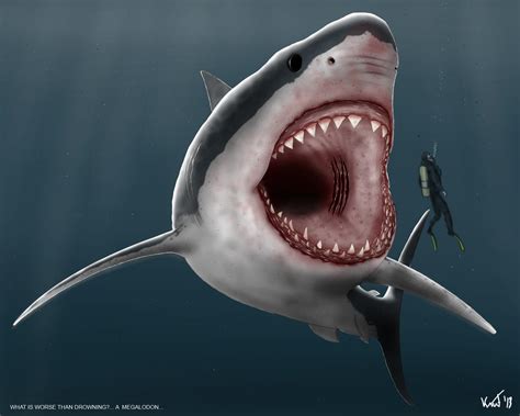 Megalodon Wallpaper HD - WallpaperSafari