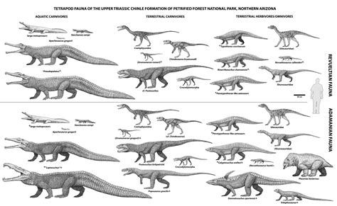 The Forgotten Archosaurs: April 2011