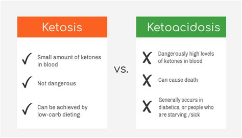 Ketosis - What Is Ketosis? How To Get There Safely | Key Eats