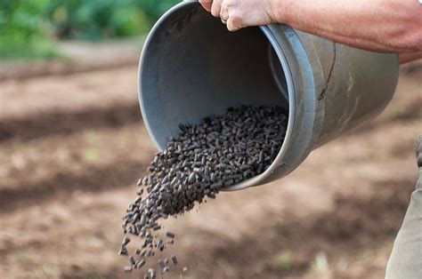 Two Dog Farms in Flora, MS - winter crops grown with AgBlend Organic ...