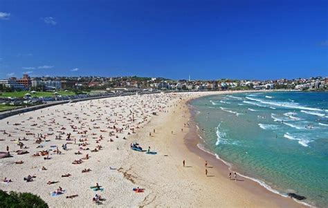 Bondi Beach, Sydney | Tickets & Tours - 2024