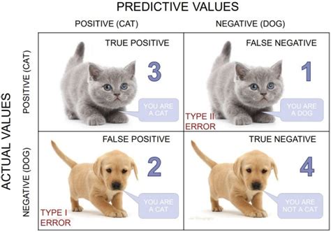 Decoding the Confusion Matrix - KeyToDataScience