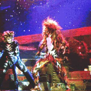 Macavity the Mystery Cat (Fight) | 'Cats' Musical Wiki | Fandom