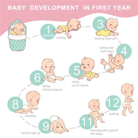 A Complete Guide to Take Care of Your Baby in the First Year - ShrewdMommy