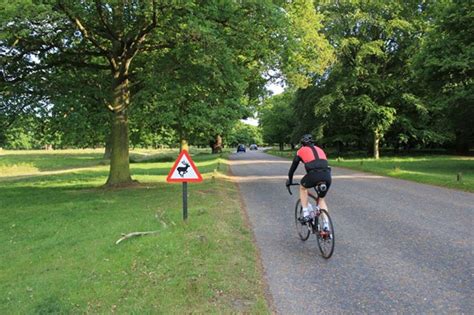 Road cycling routes London