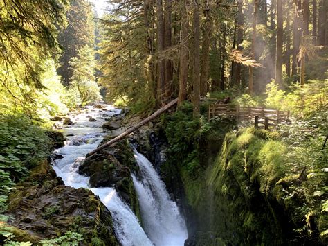 Olympic National Park | Exploring Duo