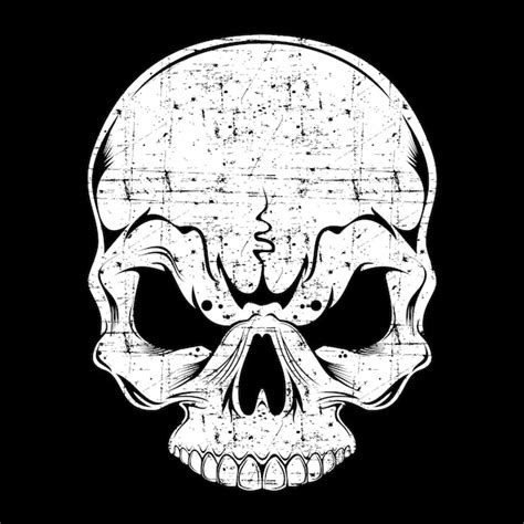 Skull retro,vintage,detail hand drawing Vector | Premium Download