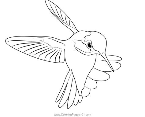 Cute Hummingbird Coloring Page for Kids - Free Swifts and Hummingbirds ...