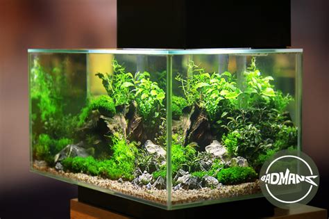 The Best Aquarium LED Lighting: A Complete Buying Guide - Badman's ...