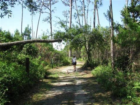 Dauphin Island Campground: Camp Next to the Gulf and Mobile Bay - The Happiness Function