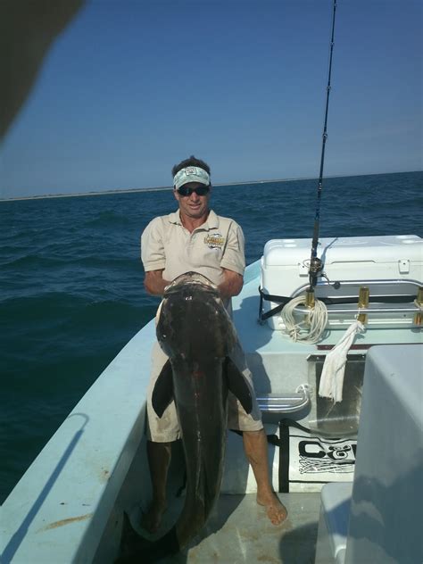 Emerald Isle Fishing Report: Cobia fishing out of Emerald Isle NC