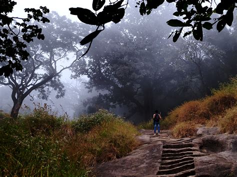 Velliangiri hills India. On the way to a Shiva temple. #hiking #camping ...