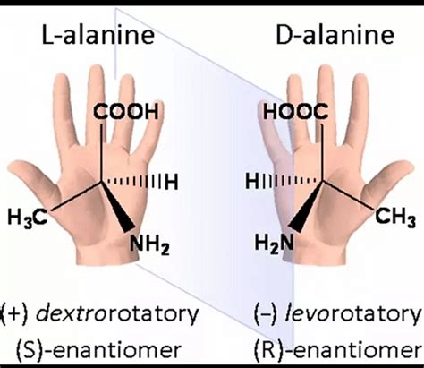 Examples of Enantiomers: Definition, Properties and Sample Questions