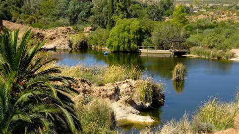 Botanical gardens and arboretums in and near Phoenix