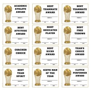 BASKETBALL AWARDS Printable Team Awards Basketball Gifts Basketball Coach Basketball Players ...