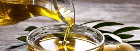 Pour Out the Oil - Sponsor an Olive Tree in Israel