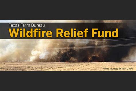 Wildfire relief fund established for Texas Panhandle