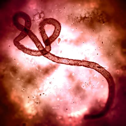 Ebola Virus Under Microscope Stock Photo - Download Image Now - iStock