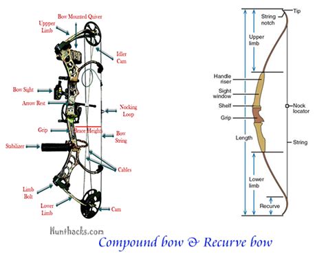 Best Compound Bow Reviews 2017 – Top Rated For The Money