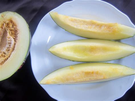 How do you know when a Piel de Sapo (Santa Claus Melon) is ripe? – My ...