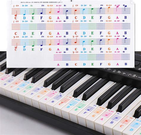 Colourful Music Piano Keyboard Notes Stickers, Removable Piano Key Stickers for All White Keys ...