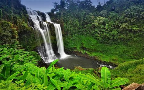 HD wallpaper: cambodia, earth, jungle, rainforest, tree, waterfall ...