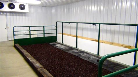 Cattle Cooler Room at Larrison Farms