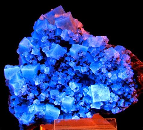 Gemmy Blue Fluorite | Geology In