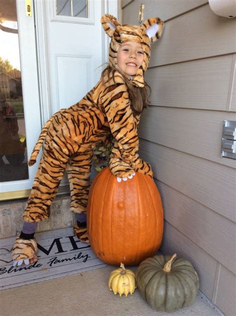 Kid's Tiger Costume