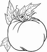 Vegetable Coloring Pages For Childrens Printable Free sketch template