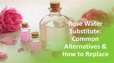 Granulated Sugar Substitute: 5 Common Alternatives To Use