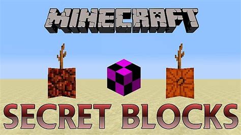 10 Secret Blocks in Minecraft Minecraft Blog