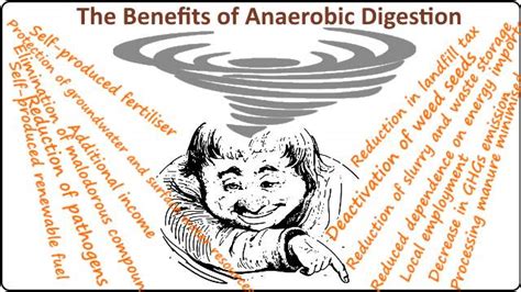 Anaerobic Digestion News: Advantages of Anaerobic Digestion Processes