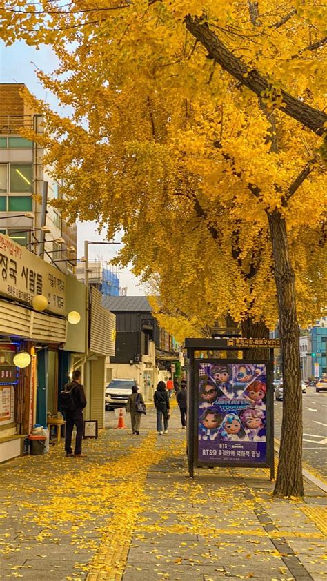 Autumn in South korea🍂