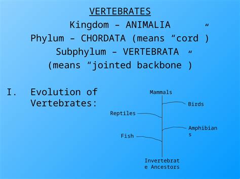 (PPT) VERTEBRATES Kingdom – ANIMALIA Phylum – CHORDATA (means “cord ...