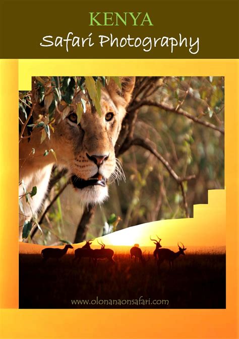 Kenya Safari Photography by OlonanaOnSafari - Issuu