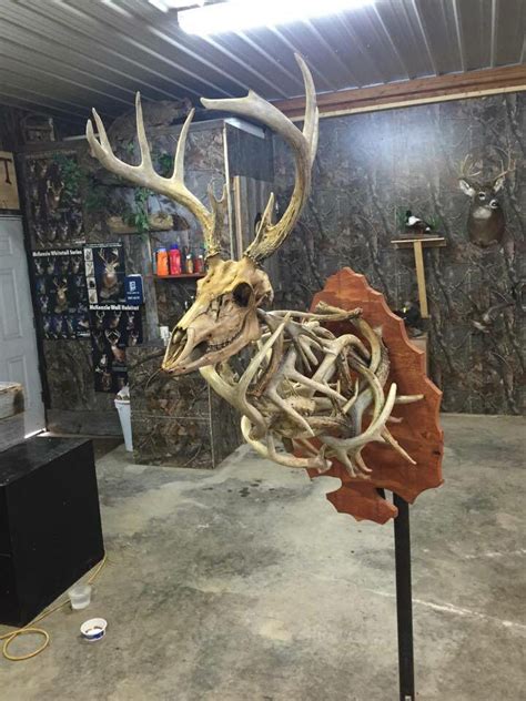 Deer Hunting Decor, Deer Antler Decor, Antler Art, Hunting Room, Hunting Life, Antler Mounts ...