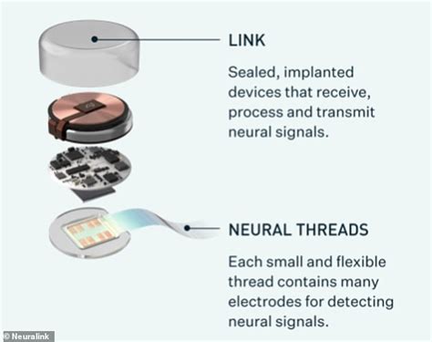 How does Elon Musk's Neuralink brain chip actually work? | Daily Mail ...