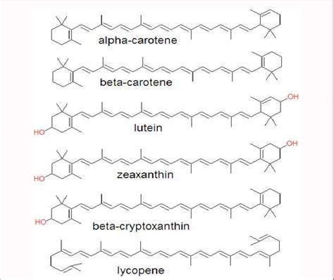 Carotenoids Structure. | Download Scientific Diagram