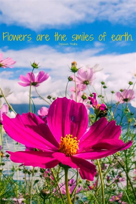 Pin by Linda Nuovo on Quotes about Flowers | Flower quotes, Planting ...