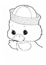 97 dibujos de Pato Para Colorear sketch template