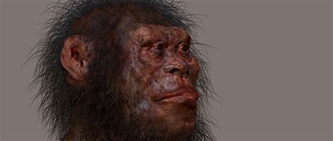 Homo Naledi Burial and Rock Art [UPSC History Notes]