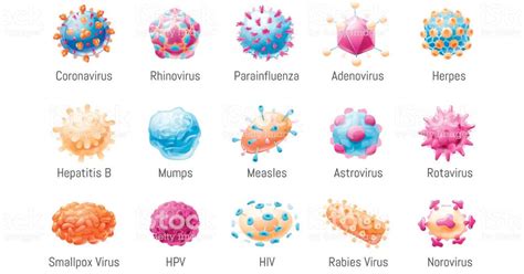 Viral diseases Study Guide - Inspirit