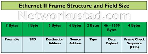 Ethernet Frame Structure (2020)- Easy Explanation » NetworkUstad