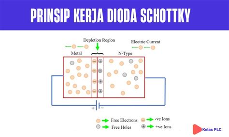 Pengertian Dioda Schottky Simbol Cara Kerja Dan Penggunaanya | My XXX ...