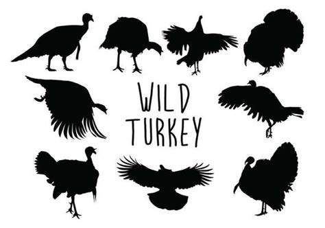 Turkey Vector Art, Icons, and Graphics for Free Download