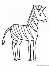 Zebra Coloring Pages  Free Printable Kids sketch template