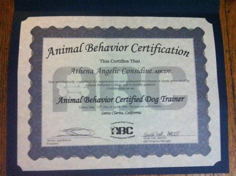 Such Good Dogs: Animal Behavior Certified Dog Trainer